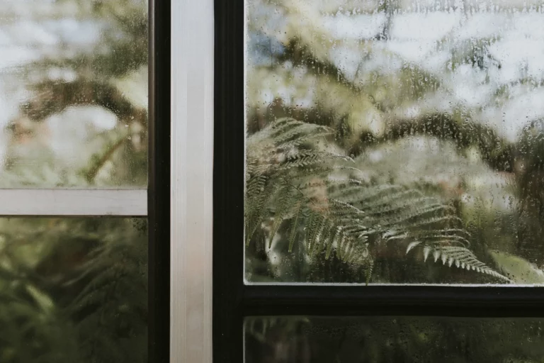 Pluie sur une baie vitrée donnant sur un jardin